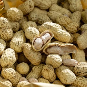 Chinese delicious taste roasted peanuts with shell Longyan peanut rosated groundnut