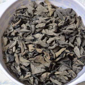 agaric Fungus edible fedible tree fungus