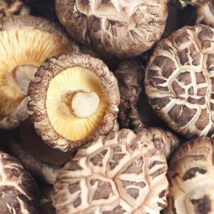 Gutian farm specialty small mushroom mushroom mushroom edible dry bulk wholesale thick meat root Contact For Detailed Quotation