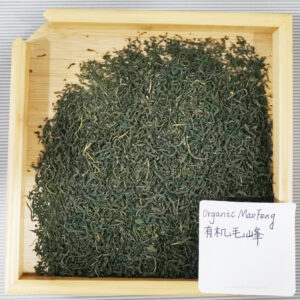 Organic Maofeng Green Tea